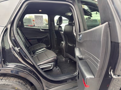2024 Ford Escape ST-Line Select