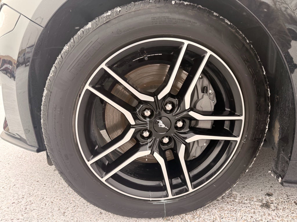 2023 Ford Mustang GT