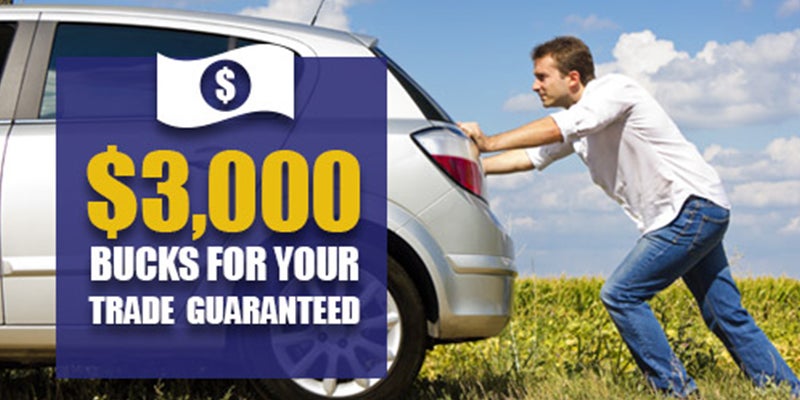 For your trade banner